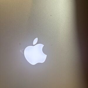 Apple Metallic Gray Laptop